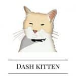 Dash Kitten