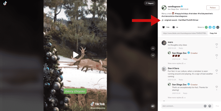 How to Go Viral on TikTok: 10 Actionable Tips that Work - SocialBee