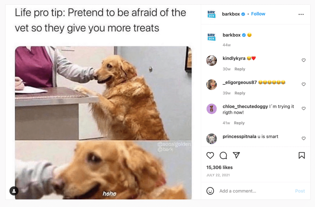 Instagram Memes: The DOs and DON'Ts for Posting Memes on Instagram -  SocialBee