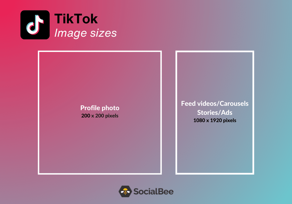 TikTok Profile Picture Size (2023) →