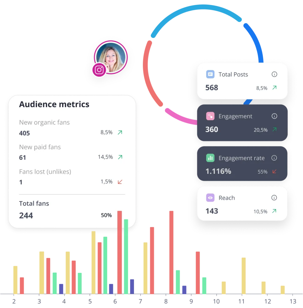 SocialBee analytics - post engagement and audience data