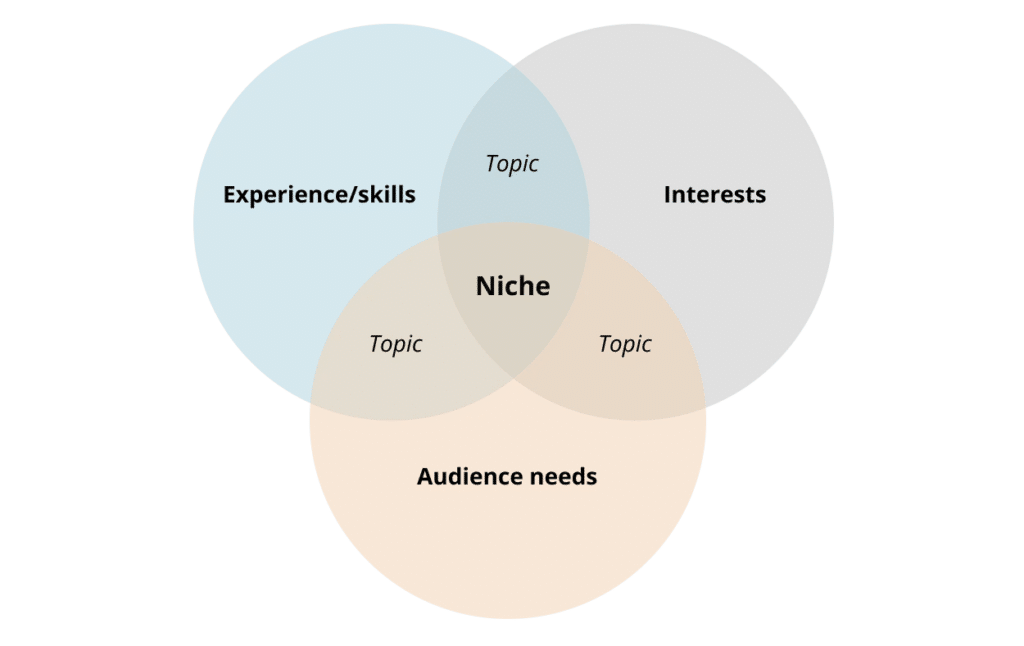 The intersection of experience, interests and audience needs that represents one's niche