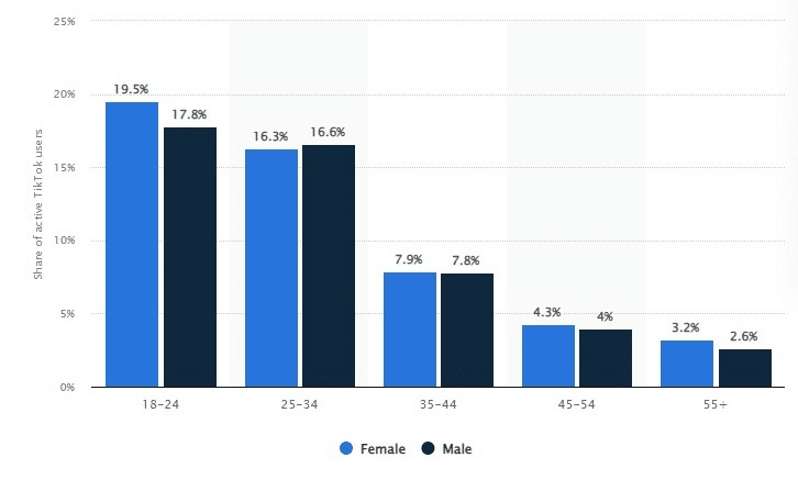 Distribution of TikTok users worldwide as of July 2023, by age and gender