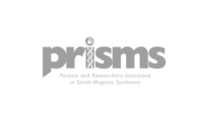 prisms logo gray