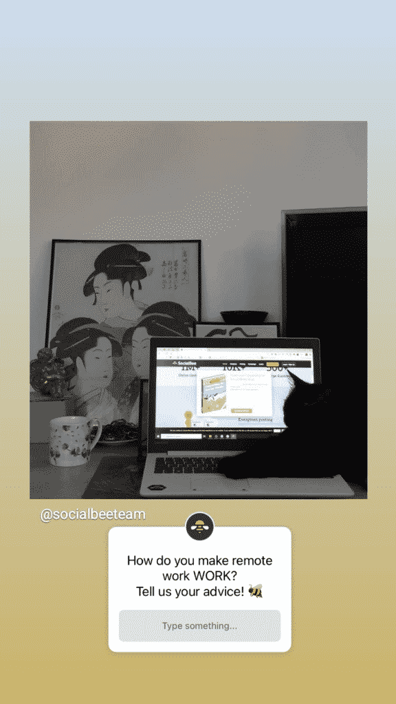 socialbee story question