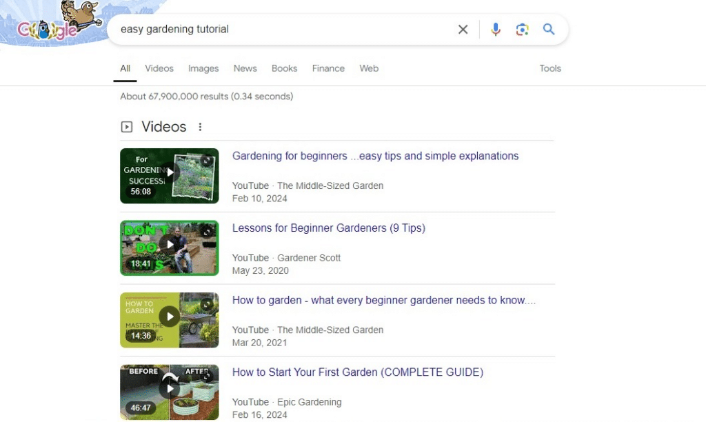 YouTube Videos in Google Search Results