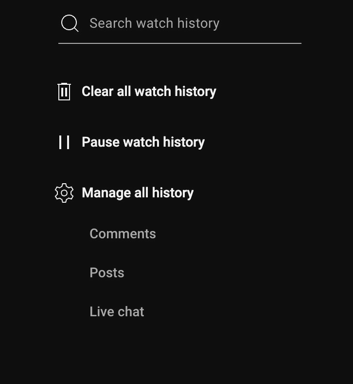 watch history youtube