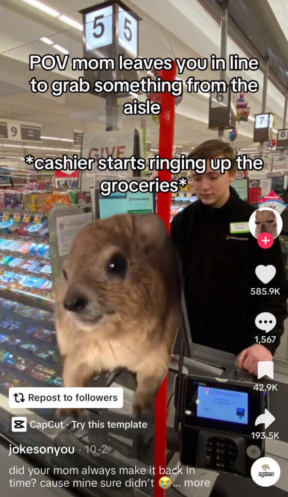 hyrax TikTok trend