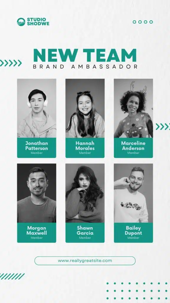 meet the team
