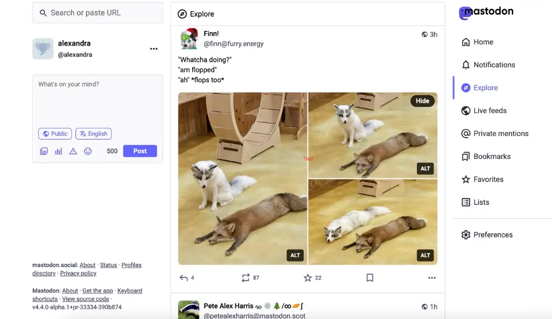 A Mastodon web interface is shown in a three-column layout. The left column contains a profile for “alexandra” and a post composer. The center column is the Explore feed, displaying a post by Finn with a humorous image of a fox and another animal lying on the floor. The right sidebar contains Mastodon navigation options including Home, Notifications, Explore, Live feeds, Private mentions, Bookmarks, Favorites, Lists, and Preferences.