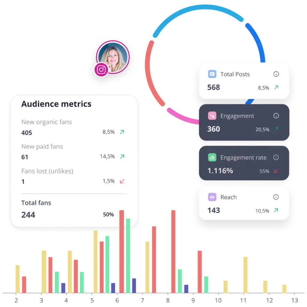 SocialBee analytics for post engagement and audience data