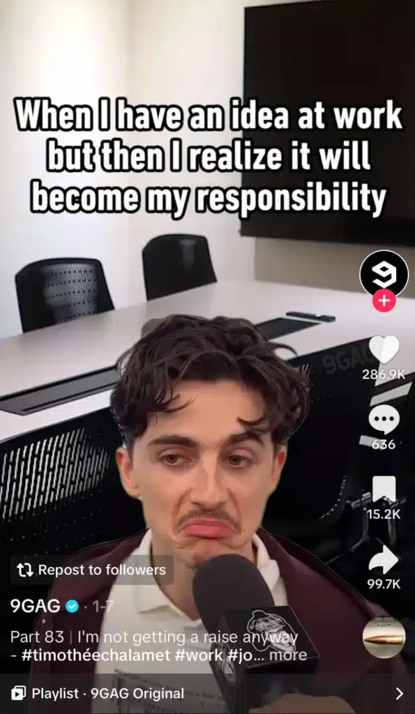 Timothée Chalamet meme