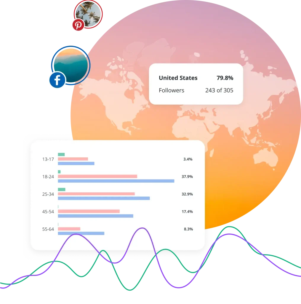 SocialBee audience demographics analytics