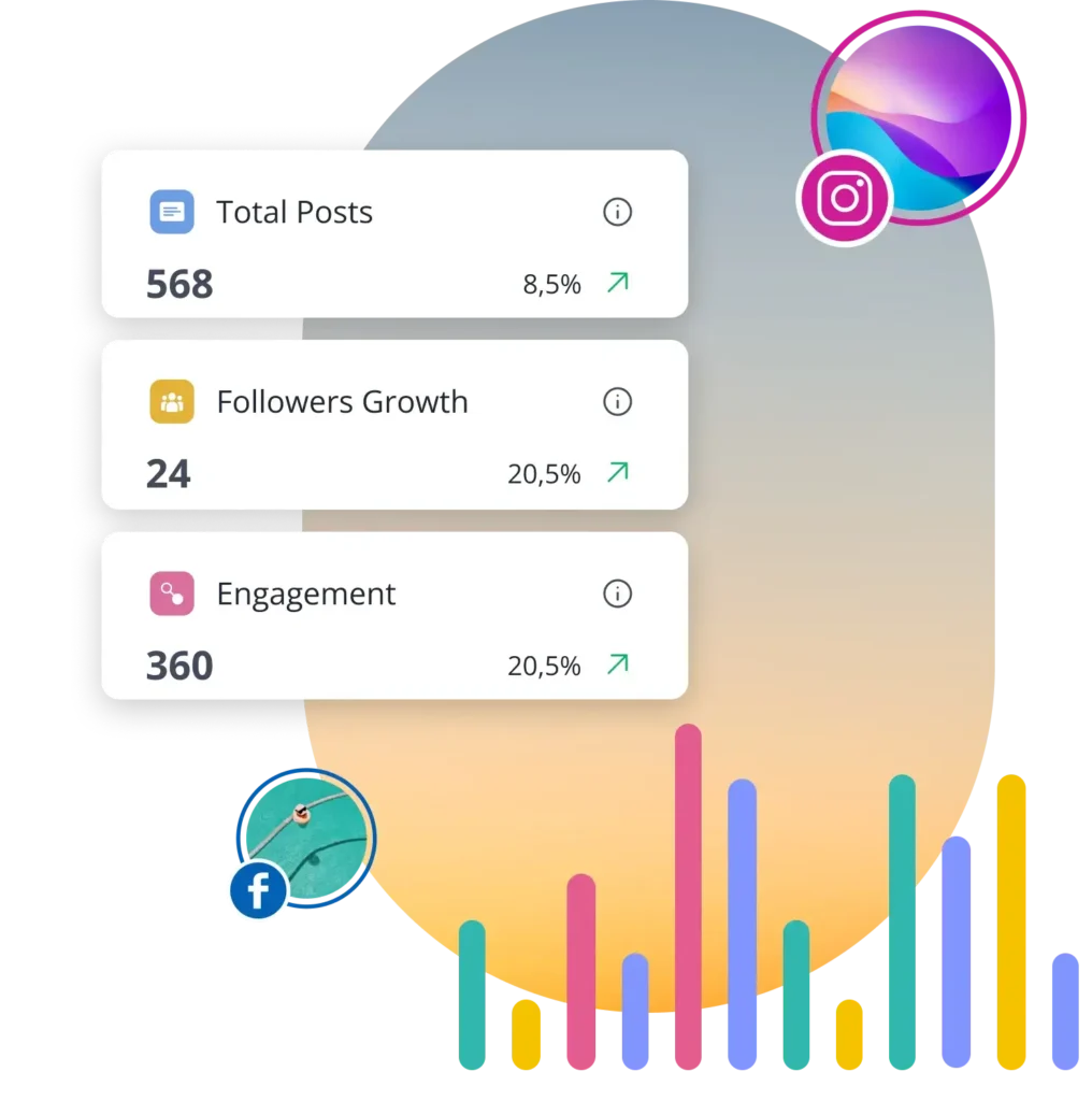 SocialBee followers growth analytics