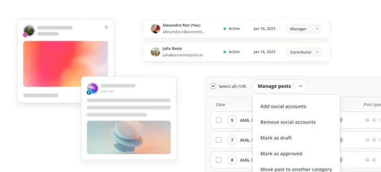 SocialBee team management features