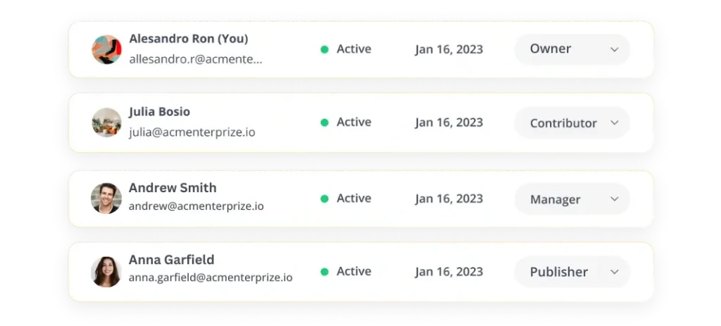 SocialBee user roles and permissions