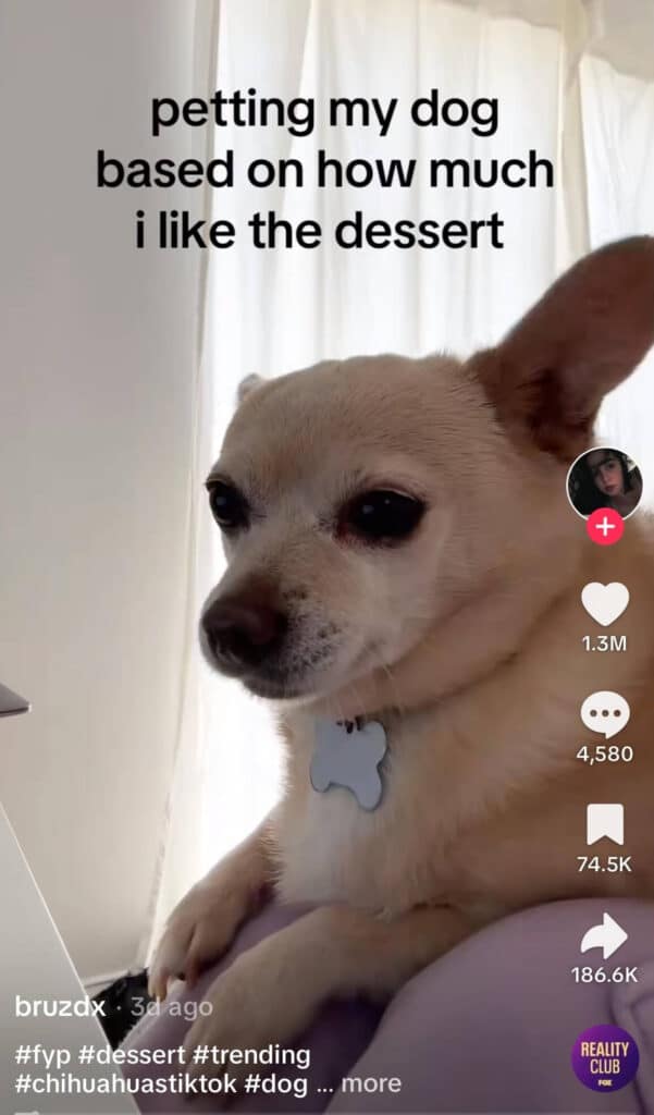 dessert tiktok trend