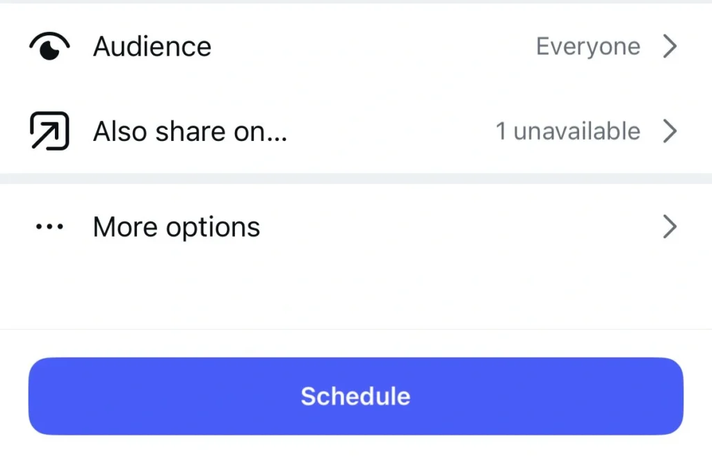 Instagram scheduling screen with options for Audience, Also share on, More options, and a large blue Schedule button at the bottom.