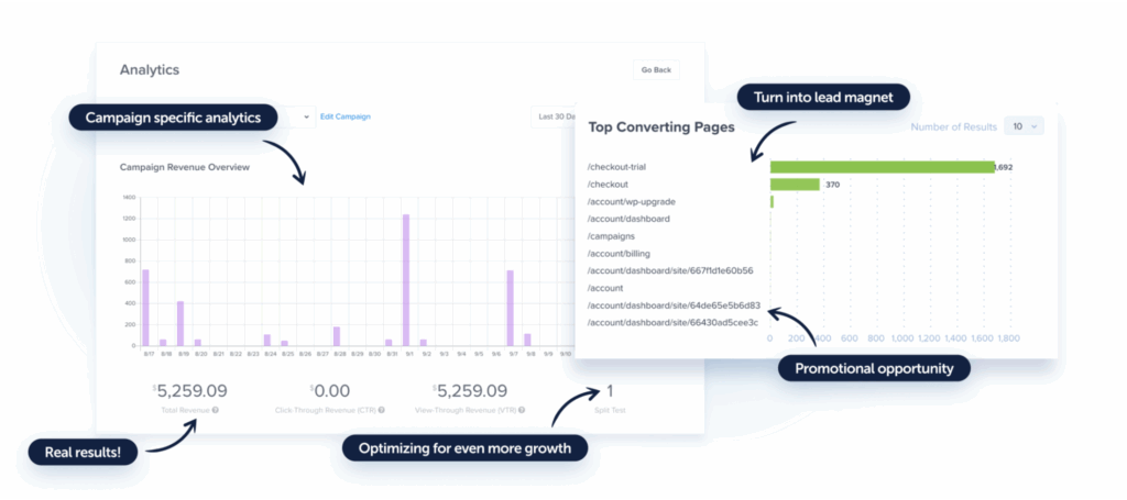 Analytics dashboard showing campaign revenue overview, top converting pages, and opportunities for lead generation and promotions.
