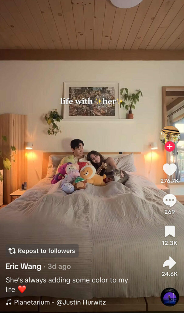 A couple in bed surrounded by colorful stuffed animals and a cat, with the caption ‘life with ✨her✨.’