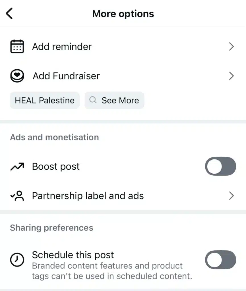 Instagram More Options menu showing Add reminder, Add Fundraiser, Ads and monetisation with Boost post toggle, Partnership label, and a Schedule this post toggle.