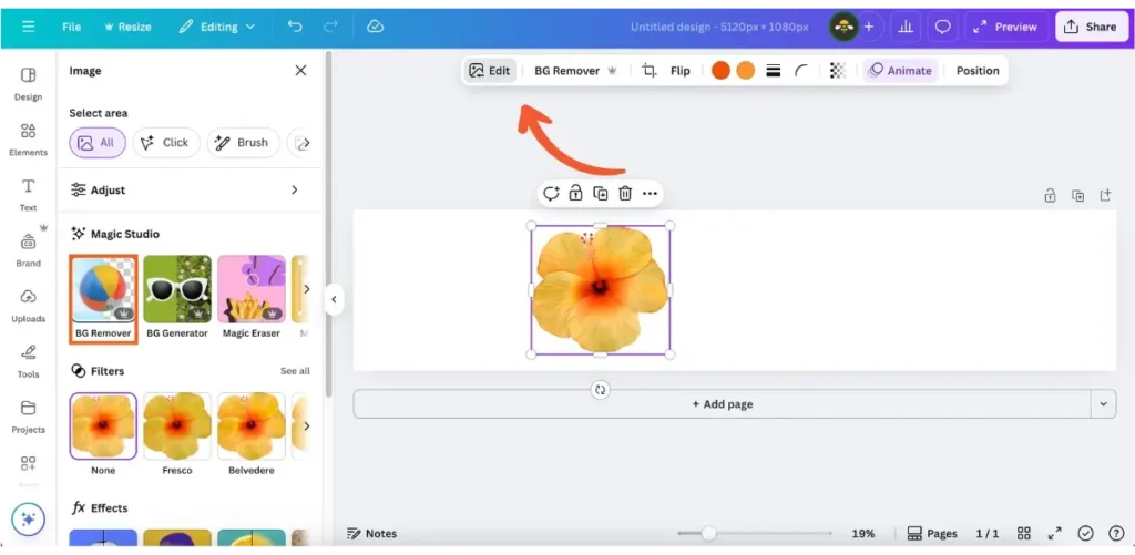 Canva’s editing interface showing a flower image being edited on a custom-sized design. The “Edit” and “BG Remover” options are highlighted with an orange arrow pointing to them, and the left sidebar displays tools under “Magic Studio” such as BG Remover, BG Generator, and Magic Eraser.