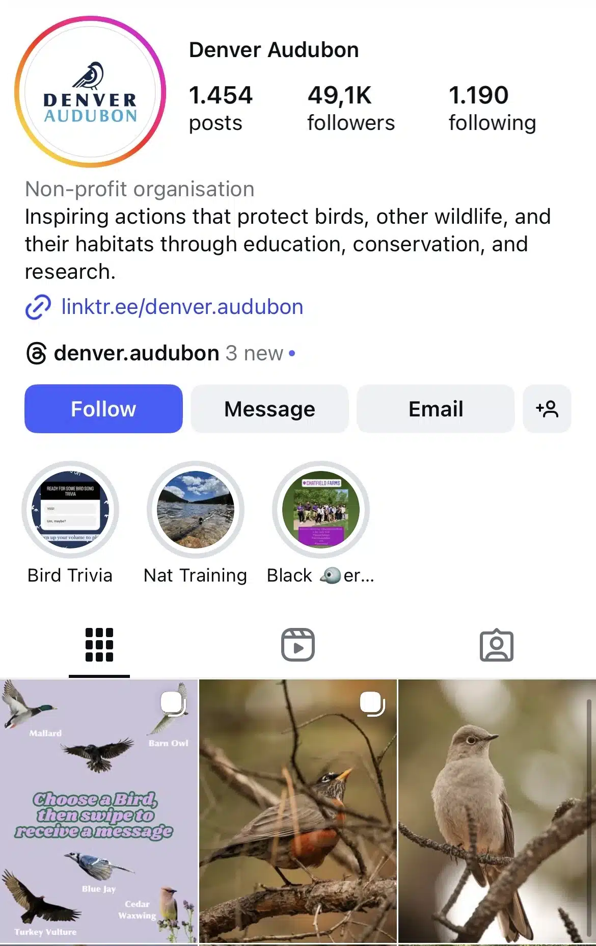 Instagram profile for Denver Audubon with bird-focused highlights and a grid showing bird illustrations and bird photography.