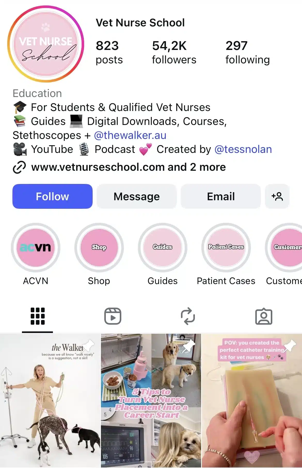 Instagram profile of Vet Nurse School featuring educational resources for vet nurses, pink highlight icons for shop, guides, and patient cases, and recent posts showing dog care, vet training tools, and student tips.