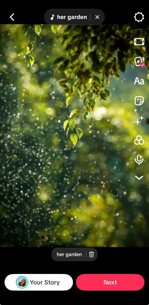 TikTok editing screen showing a close-up image of green leaves with light bokeh, the sound “her garden” selected at the top, and editing tools like text, stickers, filters, and effects on the right.