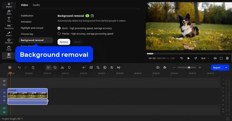 Movavi Video Editor interface showing the Background Removal tool enabled, with a video clip of a dog on grass in the preview window and a timeline below displaying the imported video file.