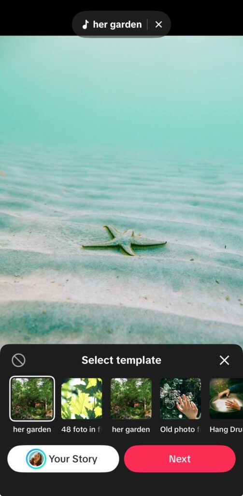 TikTok slideshow screen displaying a beach image with a starfish, a “Select template” panel open at the bottom showing multiple template options, and the sound “her garden” selected.