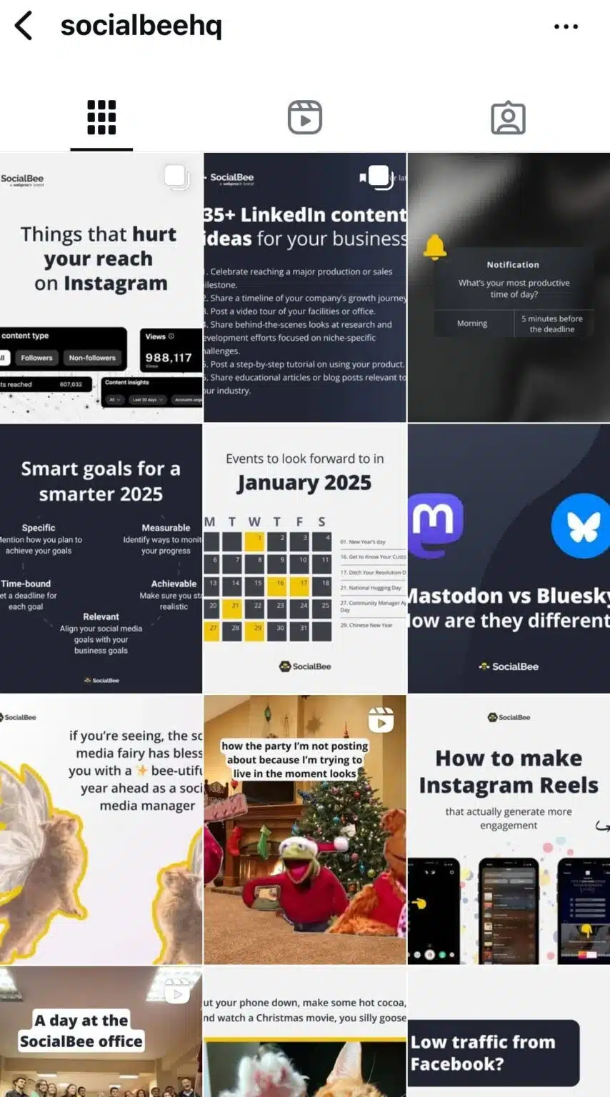 Instagram profile grid of SocialBee featuring a mix of educational and promotional posts, including topics like Instagram reach, LinkedIn content ideas, social media goals, a January 2025 calendar, platform comparisons, and tips for creating engaging Instagram Reels, alongside a few casual and office-related visuals.