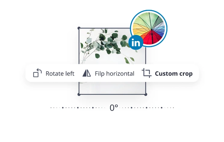 SocialBee image editing tool displaying LinkedIn image resizing options with crop, rotate, and flip controls over a minimalist plant image.
