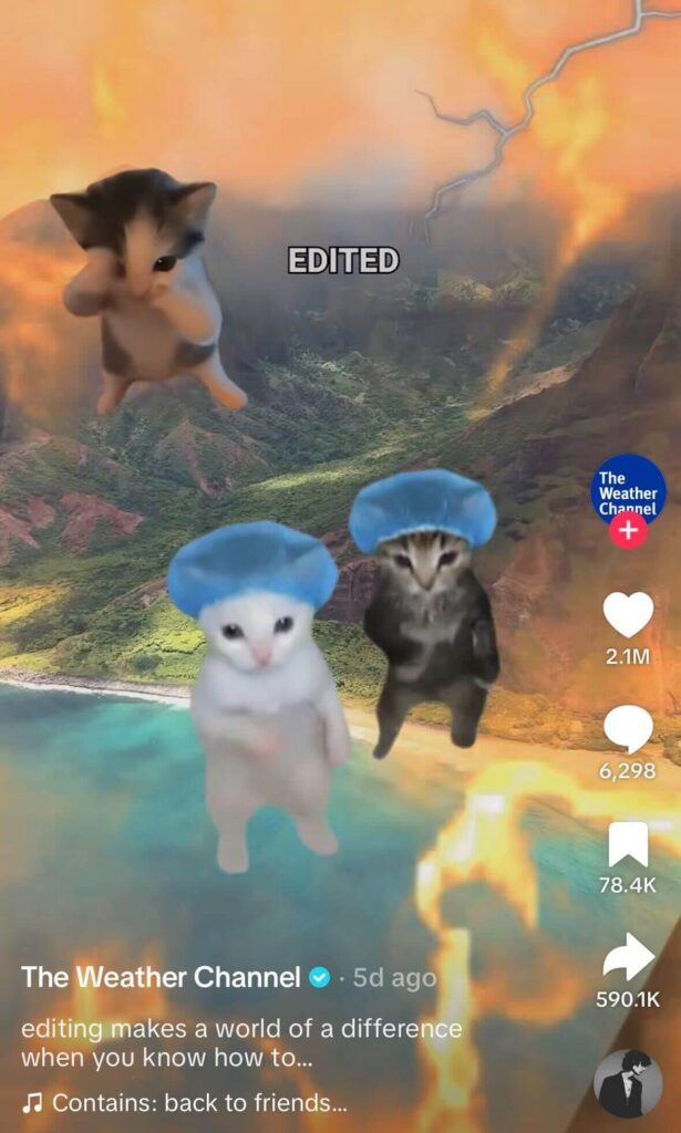 Three edited dancing kittens wearing blue mushroom-like hats composited over a dramatic landscape with fire and lightning effects; text in the center reads “EDITED.”