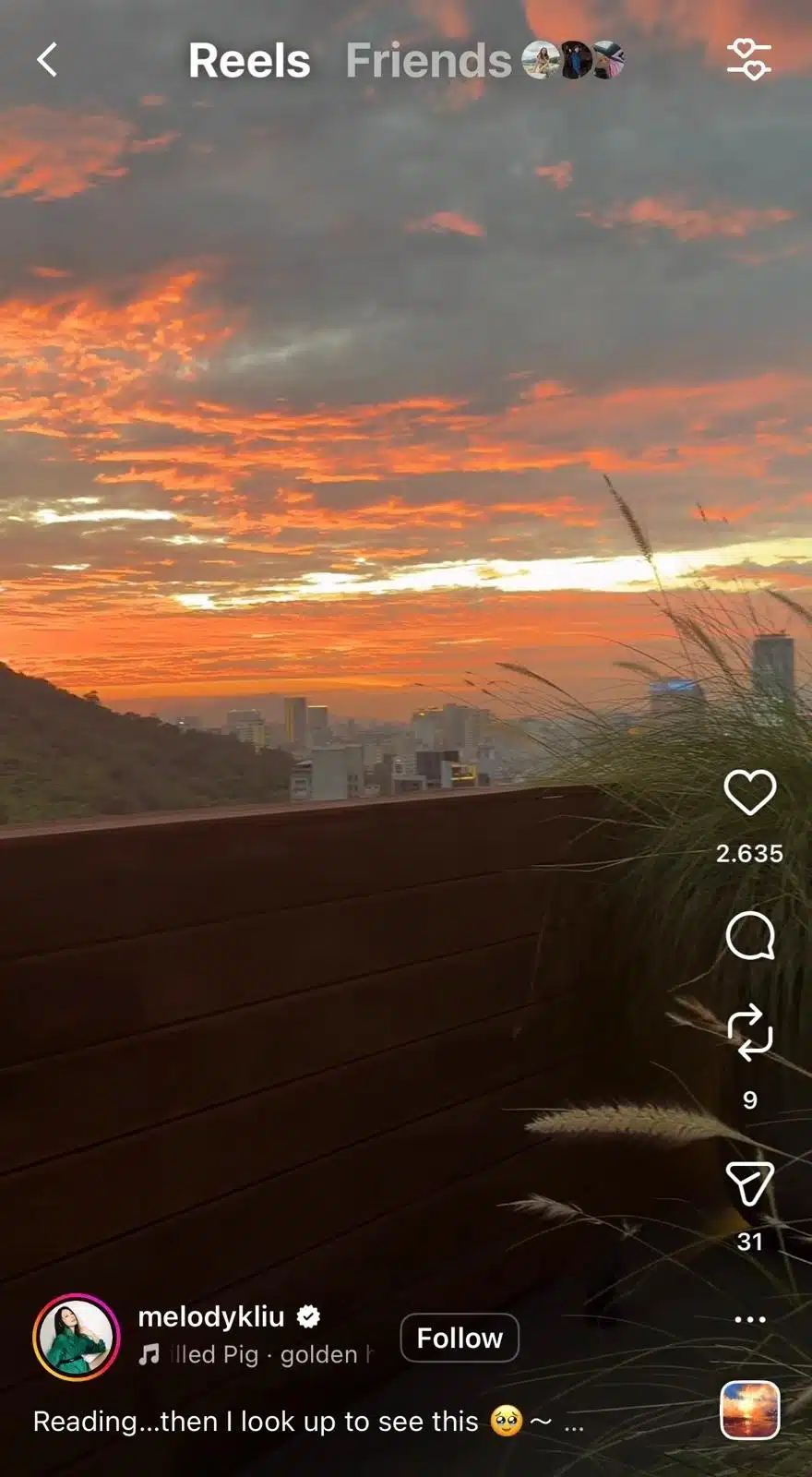 A city skyline is visible in the distance beneath a dramatic sunset sky filled with orange, pink, and gray clouds. The view is framed by a wooden terrace railing and tall ornamental grasses in the foreground. Instagram Reels interface elements are visible, with the caption beginning, “Reading...then I look up to see this.”