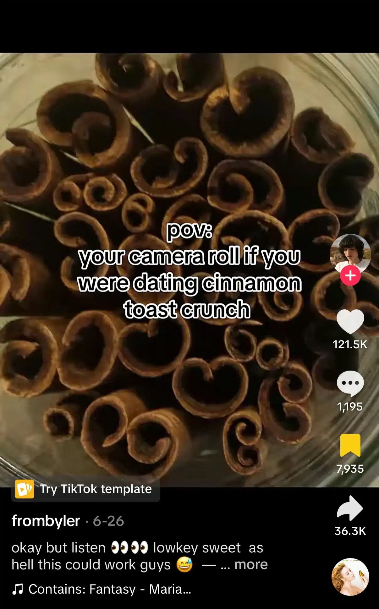 TikTok using the viral "POV: your camera roll if you were dating..." trend. The video opens with a close-up of cinnamon sticks and the text, "POV: your camera roll if you were dating cinnamon toast crunch." The trend imagines what someone's photo gallery would look like if they were in a relationship with a fictional character, brand, food, or object.