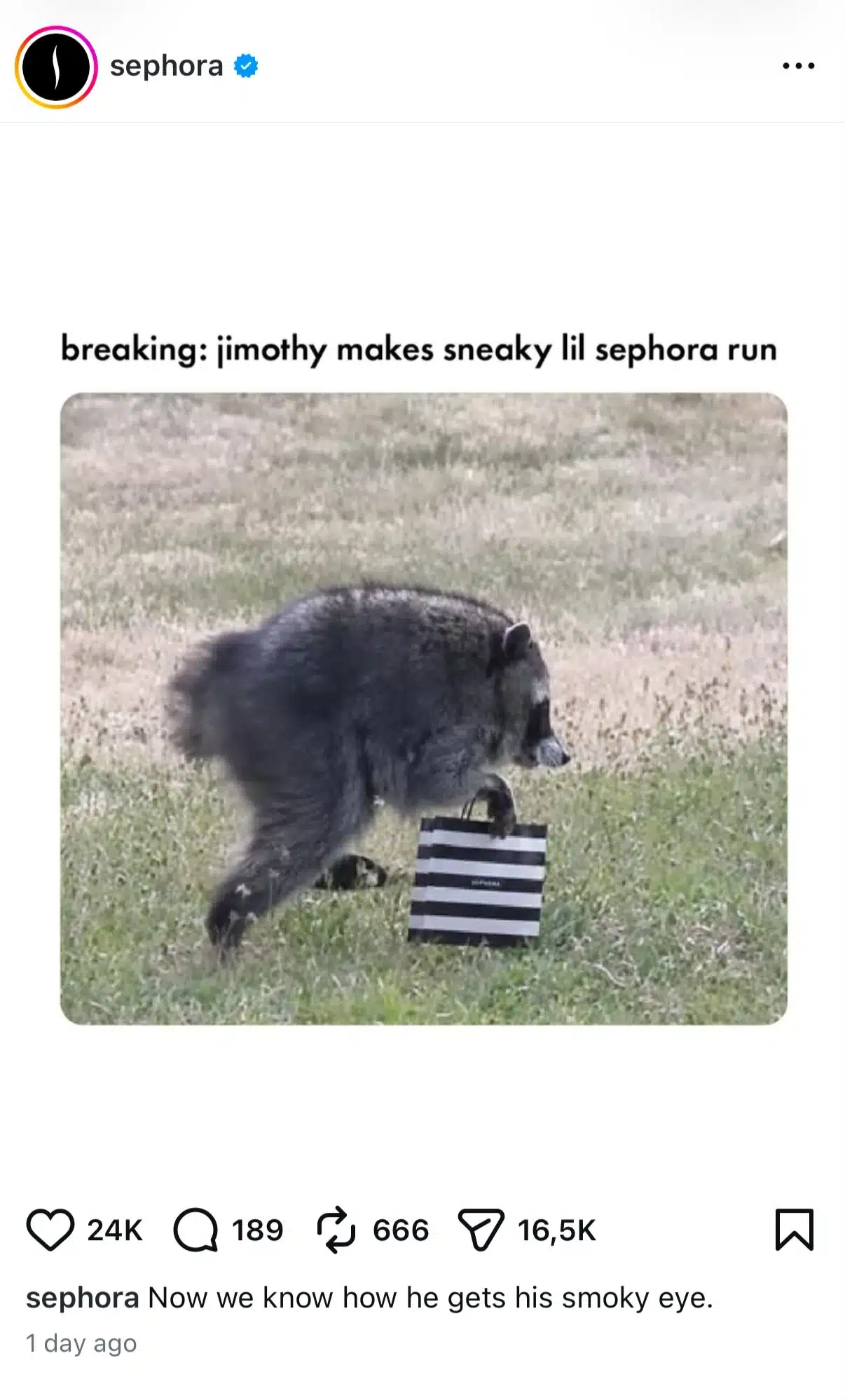 Instagram post from Sephora featuring a raccoon carrying a Sephora shopping bag with the caption, "breaking: jimothy makes sneaky lil sephora run." The humorous meme playfully imagines the raccoon on a secret beauty shopping trip.