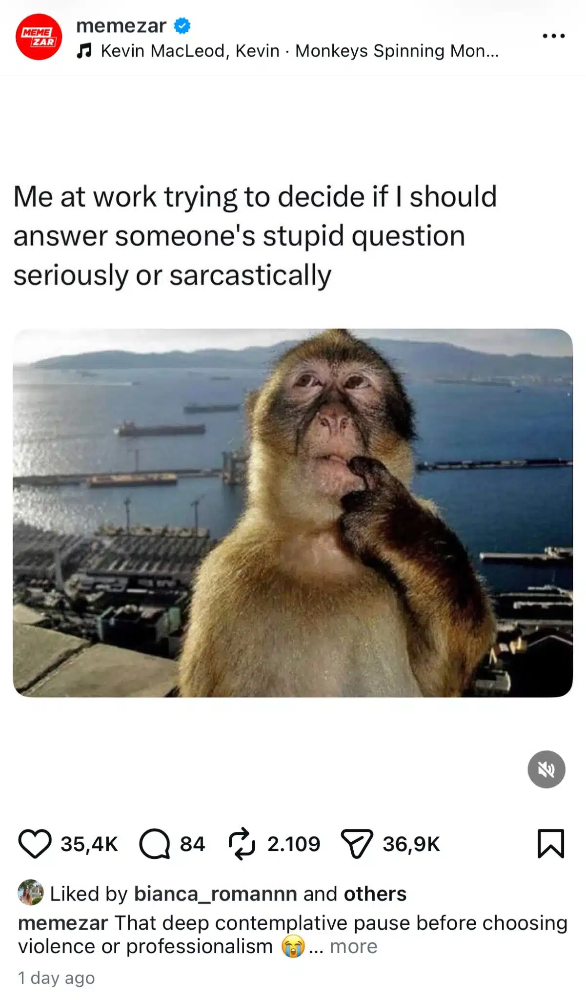 Instagram meme post showing the viral thinking monkey image with text reading, "Me at work trying to decide if I should answer someone's stupid question seriously or sarcastically." The meme uses the thinking monkey format to humorously portray someone contemplating how to respond to a frustrating workplace interaction.