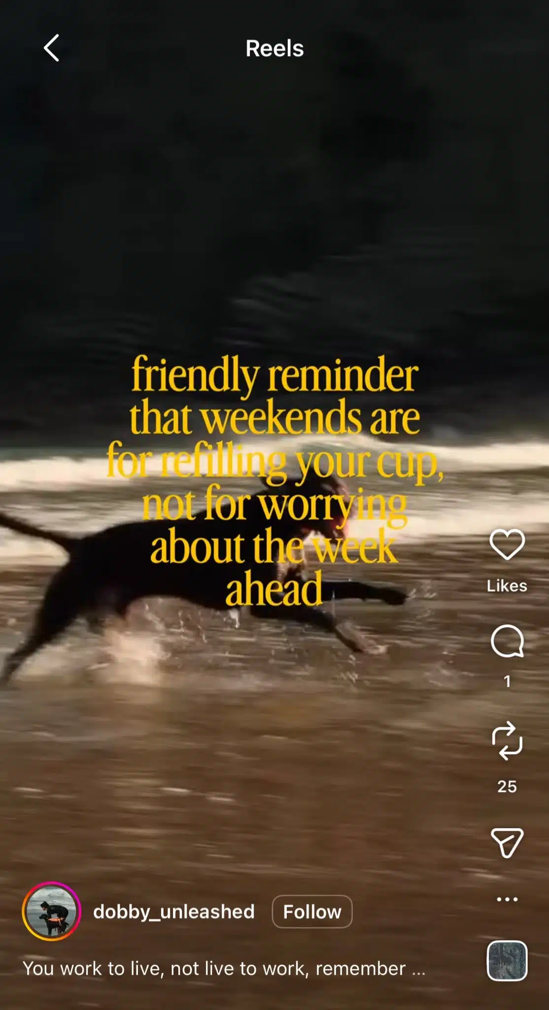 Instagram Reel showing a dog running through shallow water on a beach with overlaid text reading, "friendly reminder that weekends are for refilling your cup, not for worrying about the week ahead." The Reel uses the "We Are the People" trend to encourage rest, relaxation, and enjoying the weekend.