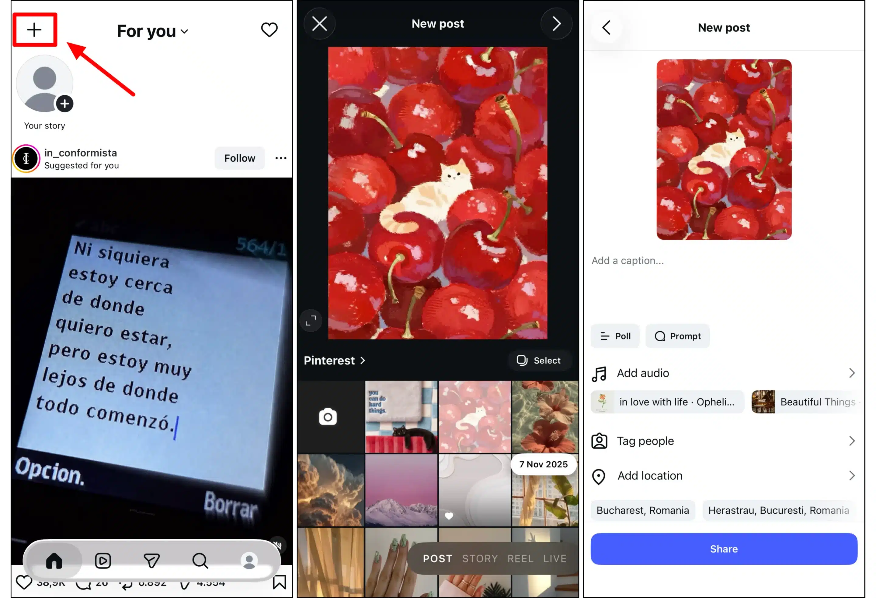 A three-panel collage illustrating how to create an Instagram post using the mobile app. The first panel highlights the plus (+) button in the top-left corner of the Instagram home screen with a red box and arrow. The second panel shows the New post screen, where a photo of a cream-colored cat resting among bright red cherries is selected from the gallery, with additional thumbnails visible below. The third panel displays the post publishing screen, where users can add a caption, create a poll or prompt, add audio, tag people, add a location, and share the post. A blue Share button appears at the bottom.