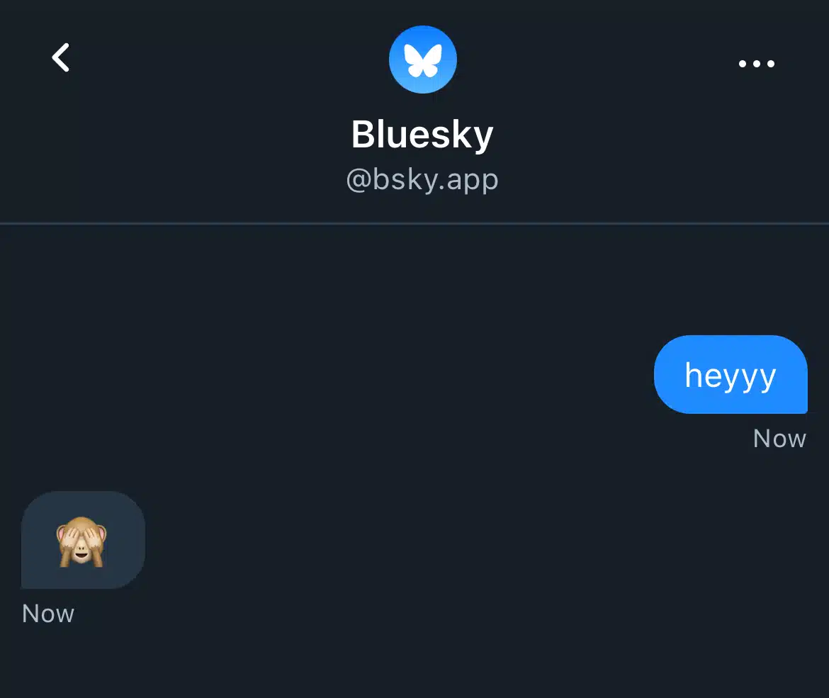 Bluesky direct message conversation with the @bsky.app account showing a sent “heyyy” message and a reply with a see-no-evil monkey emoji.