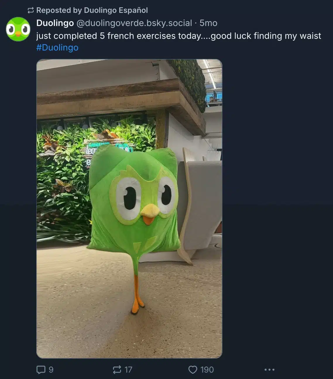 Bluesky post from Duolingo featuring the Duolingo owl mascot, with the text “just completed 5 french exercises today....good luck finding my waist #Duolingo,” reposted by Duolingo Español.