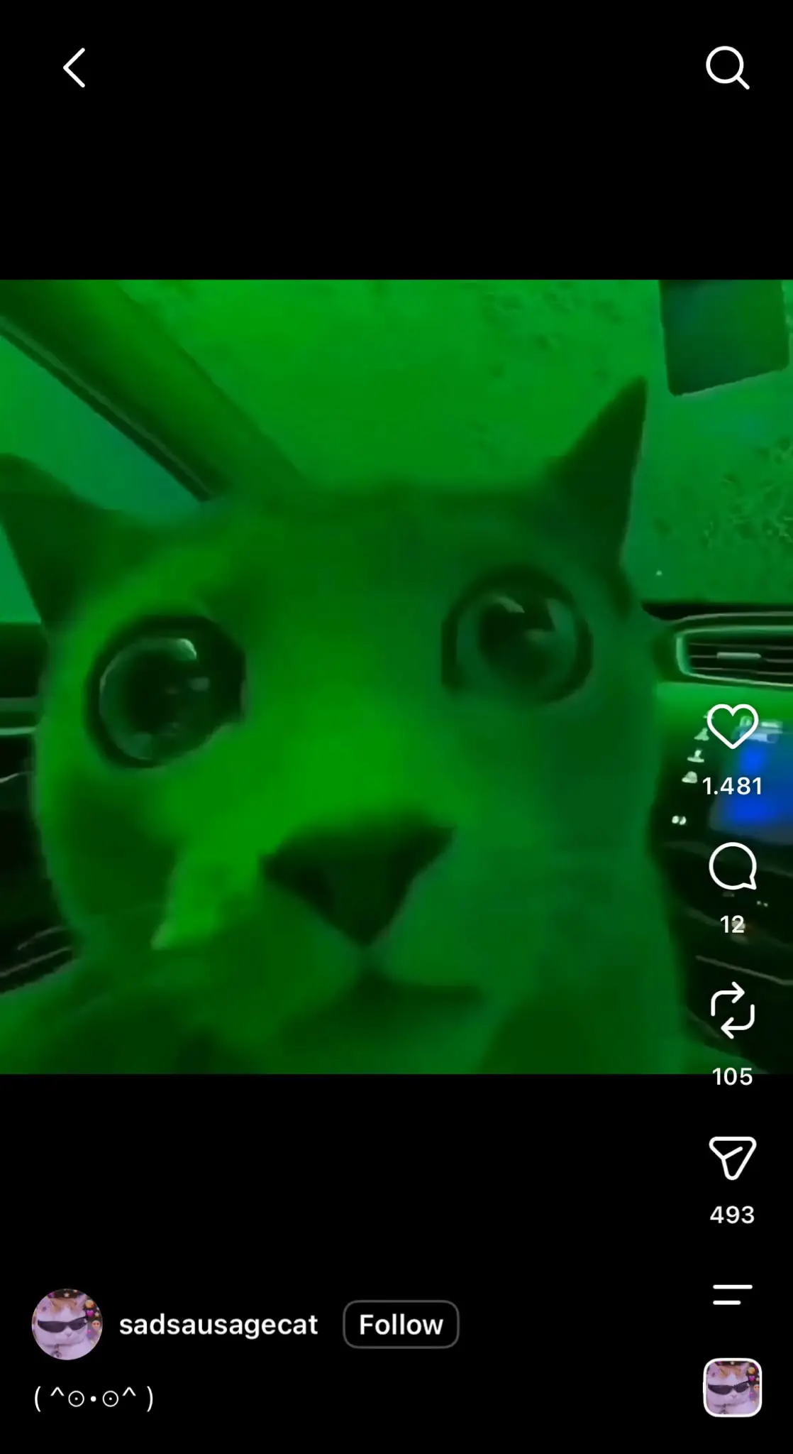 Instagram Reel showing a close-up of a cat's face under a bright green filter, creating a humorous and surreal effect. The standard Reels interface appears on the right with like, comment, share, and save icons, while the creator's username, follow button, and caption are displayed at the bottom. This is a popular reaction meme format often used to express confusion, disbelief, or being caught off guard.
