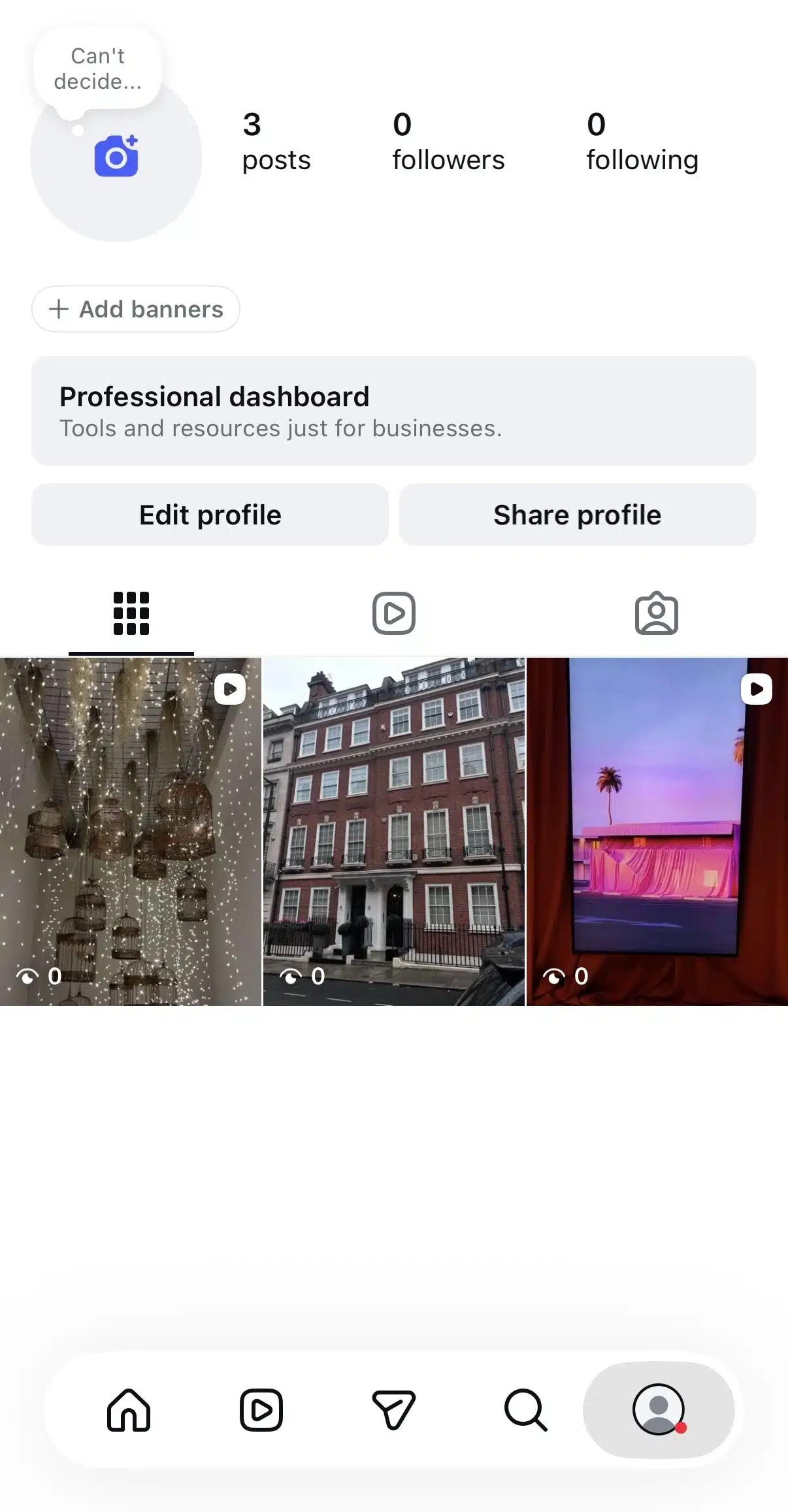 Instagram professional profile page showing profile statistics, Edit profile and Share profile buttons, the Professional dashboard, and a grid of published posts. The bottom navigation highlights the Profile tab.