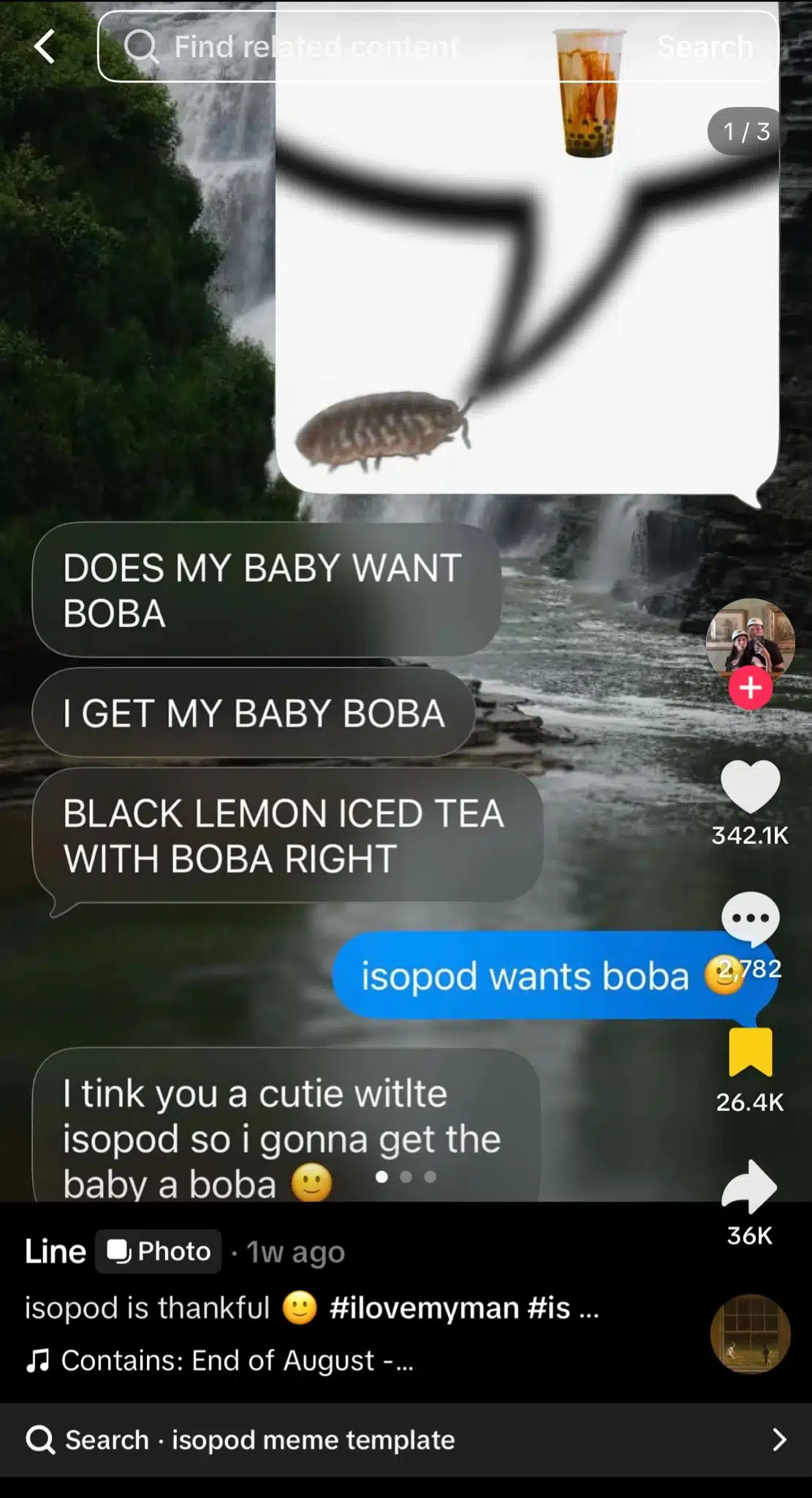 Meme showing a text conversation about an isopod wanting boba, with an image of the isopod thinking about a cup of boba tea.
