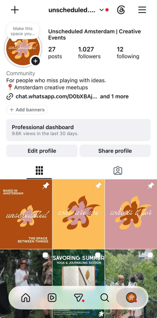 Instagram business profile showing the Professional dashboard, profile information, follower count, and recent posts.
