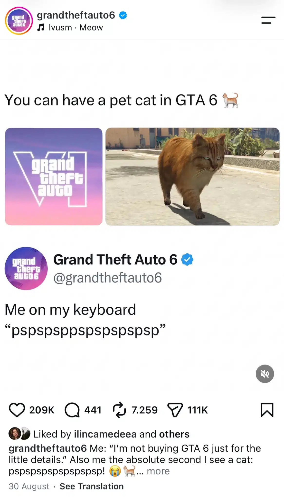 Instagram meme about GTA 6 featuring a cat from the game and text joking about calling it by typing “pspspspspspspspsp” on the keyboard.