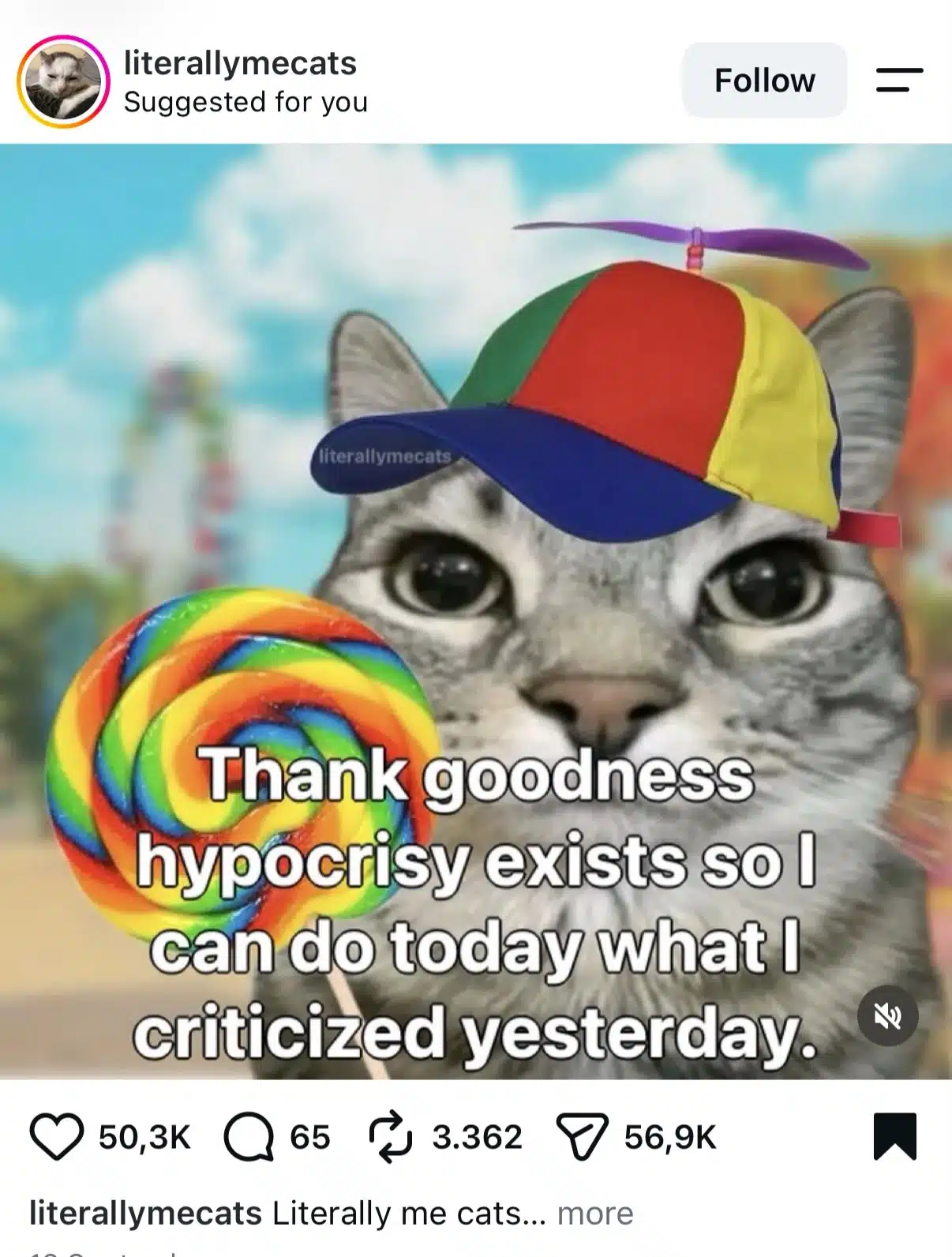Instagram meme showing a gray cat wearing a colorful propeller hat and holding a rainbow lollipop. Text reads, “Thank goodness hypocrisy exists so I can do today what I criticized yesterday.”