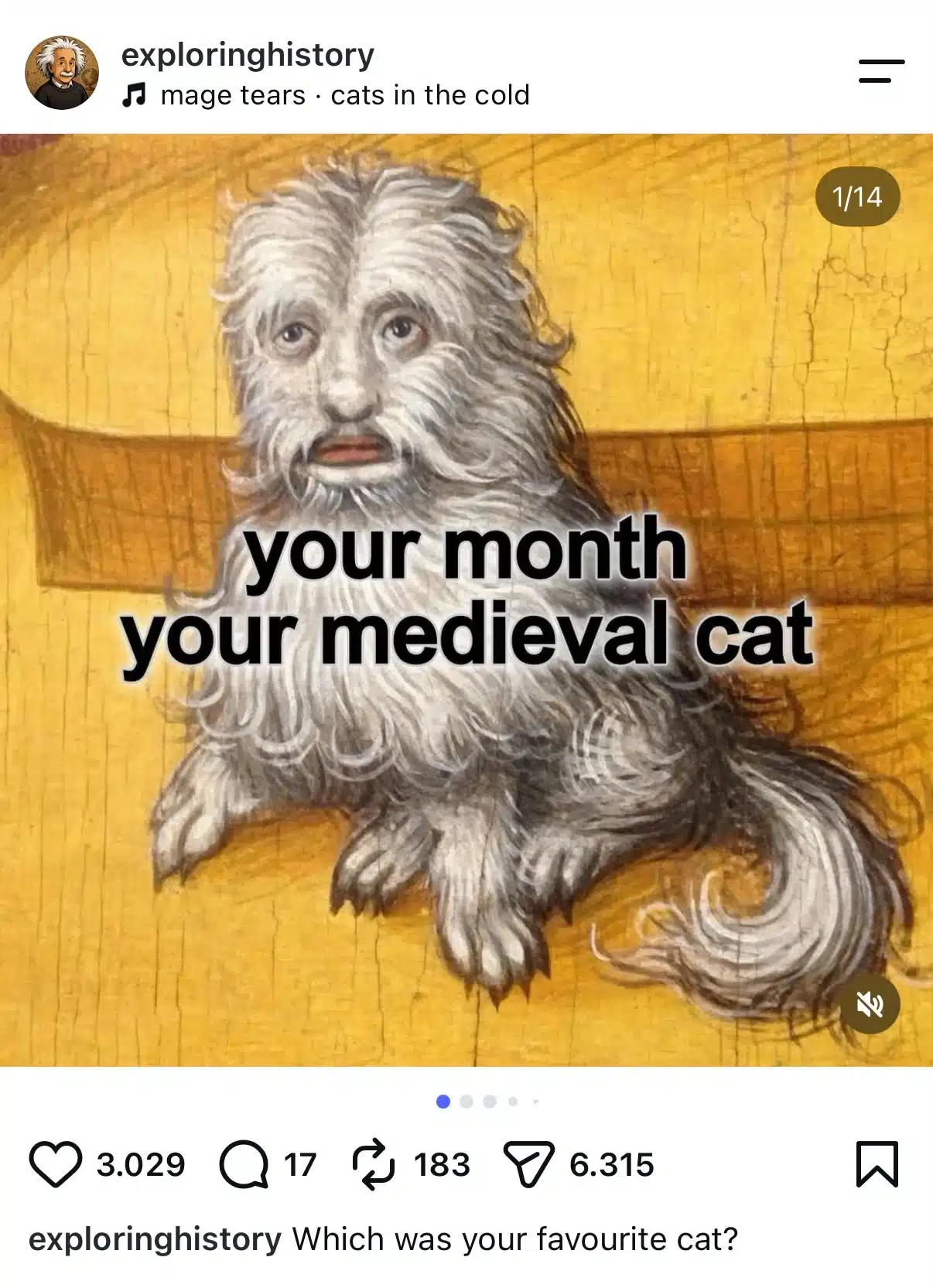 Instagram carousel from exploringhistory featuring a medieval-style illustration of a long-haired gray cat with a human-like face against a yellow background, with text reading, “your month your medieval cat.”